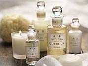 Quercus 